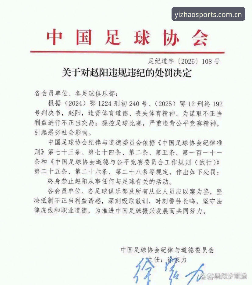 中国足协第三批禁足名单最新动态，17人被终身禁止从事足球活动